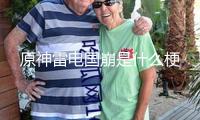 原神雷電國崩是什么梗