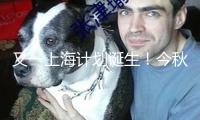 又一上海計劃誕生！今秋上海將向全球推介超大城市生態修正之道
