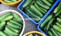 北京市4家醫療機構騙保被處分