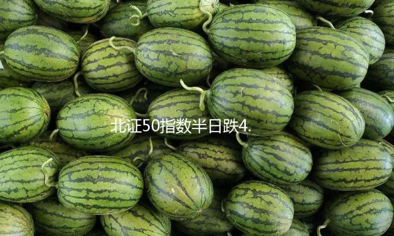 北证50指数半日跌4.38% 银行、游戏等板块涨幅居前 — 新京报