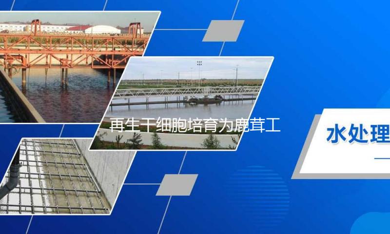 再生干细胞培育为鹿茸工业开展供给新思路