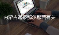 內(nèi)蒙古通報(bào)那爾那茜有關(guān)核對(duì)狀況 稱其涉嫌高考報(bào)名資料造假