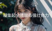凝集起全民禁毒強壯合力，上海舉辦世界禁毒日主題宣揚活動