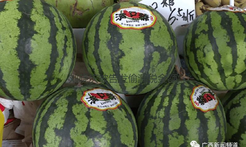 刘晓庆被告发偷漏税金额巨大 税务部门将打开稽察