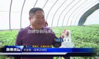 劉德華到馬來(lái)西亞，陪朱麗倩回娘家，和表妹吃西餐，看起來(lái)好典雅