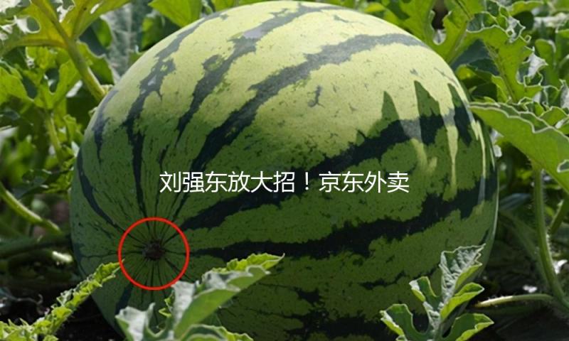 刘强东放大招！京东外卖百亿补助上线，记者实测：4.9元购咖啡 — 新京报