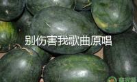 別傷害我歌曲原唱
