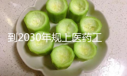 到2030年规上医药工业企业根本完成数智化转型全掩盖