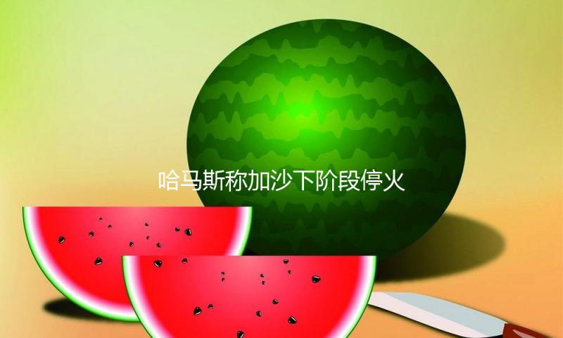 哈马斯称加沙下阶段停火商洽仍在进行 以方没有做出许诺