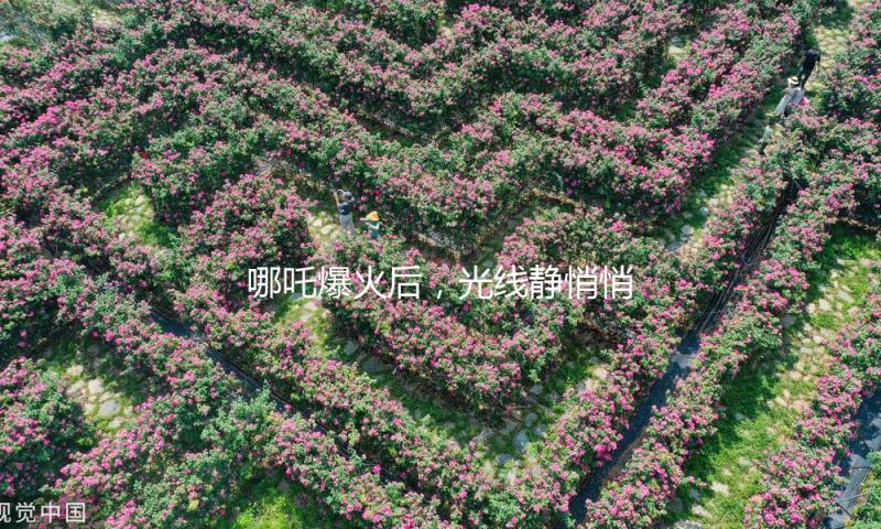 哪吒爆火后，光线静悄悄