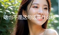 啥也不是這句話是什么梗