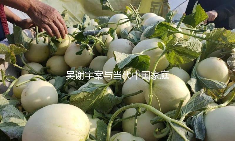 吴谢宇案与当代中国家庭的纠结 — 新京报