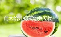 向太給兒媳買地養寵物 大方送孫子孫女Labubu