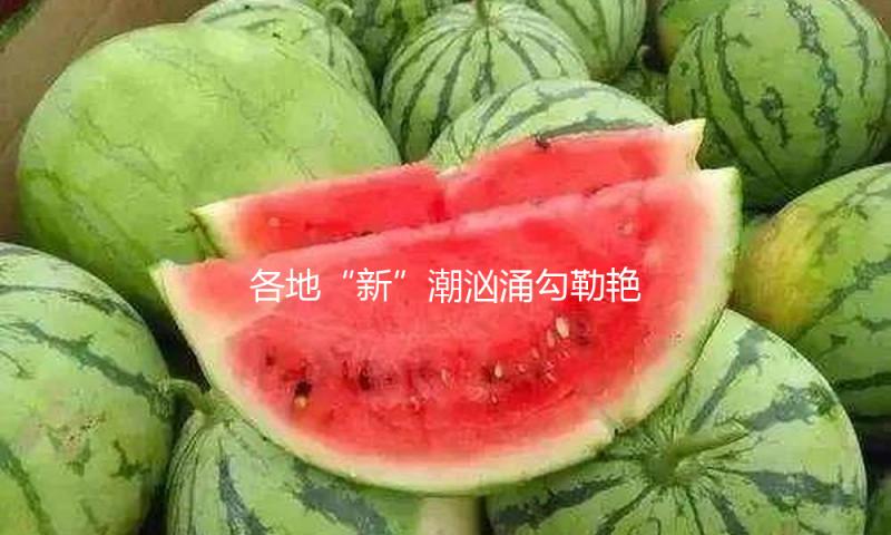 各地“新”潮汹涌勾勒艳丽“科技春耕图” 为丰登增收开好“局”