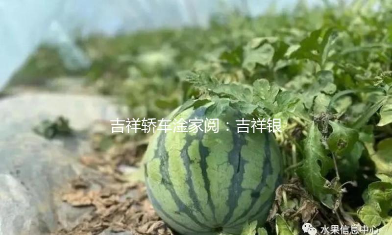 吉祥轿车淦家阅：吉祥银河系列晋级为“吉祥银河品牌”