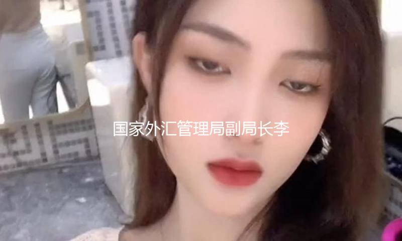 国家外汇管理局副局长李斌：外汇市场平稳运转的根底将持续稳固 — 新京报