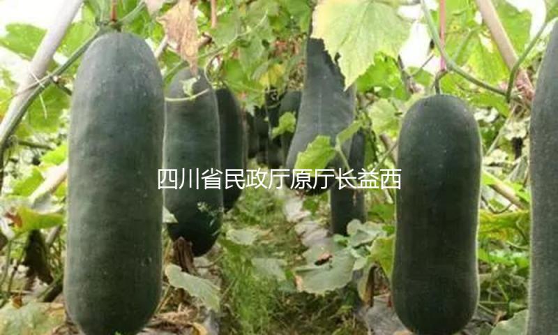 四川省民政厅原厅长益西达瓦承受检查查询