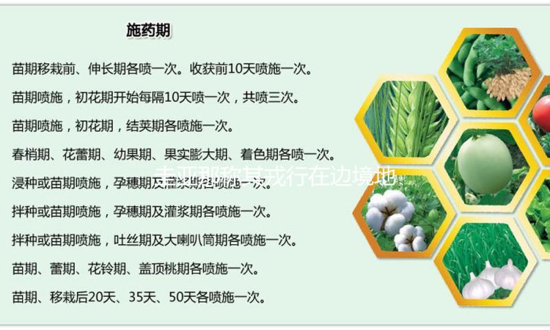 圭亚那称其戎行在边境地区遭委内瑞拉装备冲击