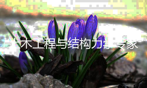 【17今日爆料-今日大賽】17今日爆料-今日大賽土木
