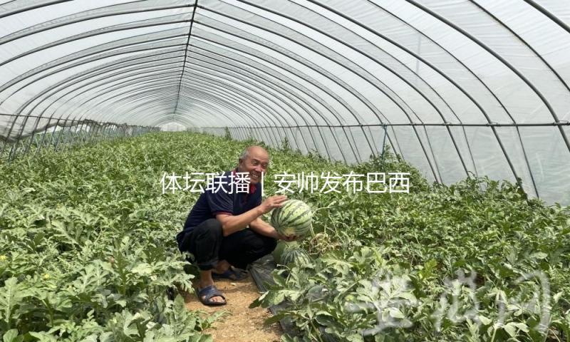 体坛联播｜安帅发布巴西队大名单，C罗连任沙特联赛金靴