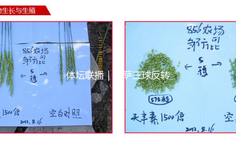 体坛联播｜巴萨三球反转塞尔塔，CBA季后赛山西横扫广东