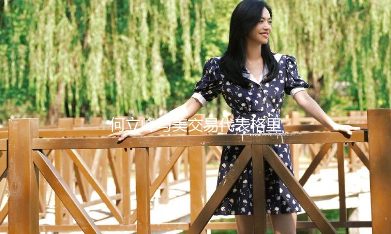 何立峰与美交易代表格里尔举办视频通话 — 新京报