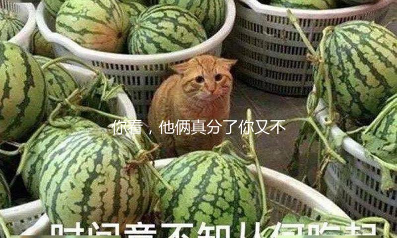 你看，他俩真分了你又不愿意…