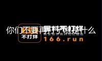 你們不要再打了啦是什么梗