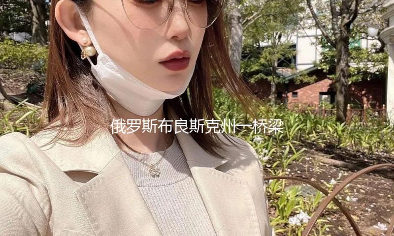 俄罗斯布良斯克州一桥梁崩塌 已致数十人伤亡
