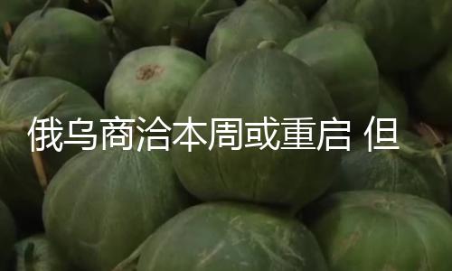 俄乌商洽本周或重启 但先停火仍是先商洽？