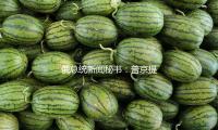 俄總統新聞秘書：普京提議商洽標明俄尋求平和解決方案志愿