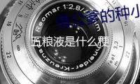 五糧液是什么梗