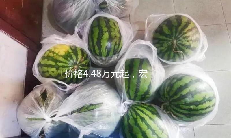 价格4.48万元起，宏光MINIEV四门版上市敞开代步车2.0年代