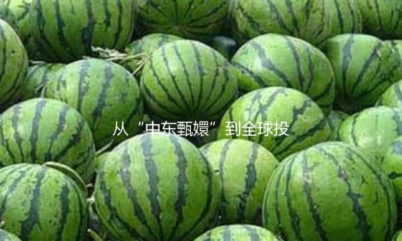 从“中东甄嬛”到全球投资人，卡塔尔太后财物超千亿，权财两手抓
