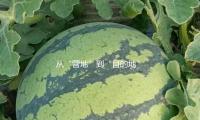 從“營地”到“目的地” 和4億人一同解鎖戶外運動新場景
