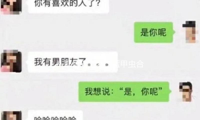从耶鲁到上海，蓝甲虫合唱团唱起了《橄榄树》