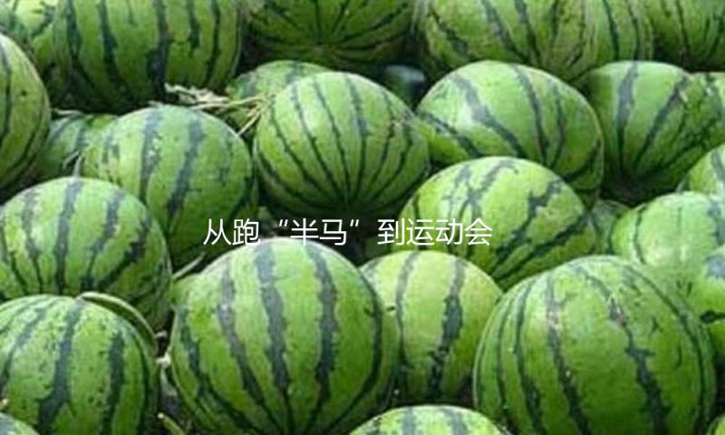 从跑“半马”到运动会 机器人为啥都爱搞体育？