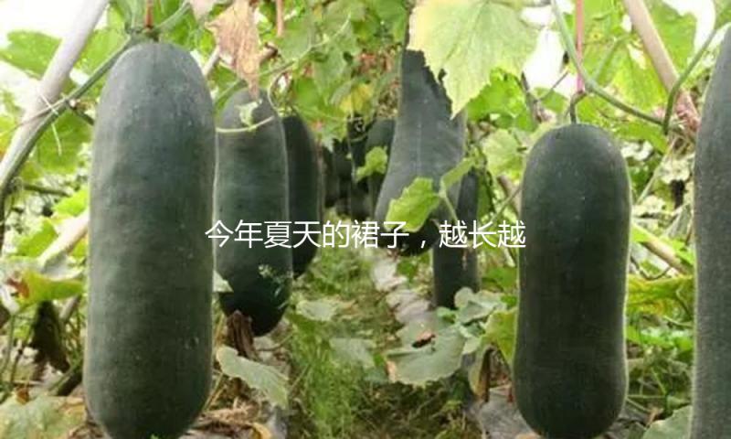 今年夏天的裙子，越长越美观！
