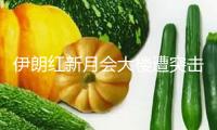 伊朗紅新月會大樓遭突擊