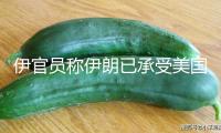 伊官員稱伊朗已承受美國提出的停火計劃