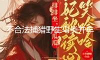 不合法捕獵野生鳥類并牟利，西咸新區法院判處康某有期徒刑半年
