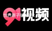 世界原子能組織：伊朗布什爾核電站若遭襲恐引發嚴重后果