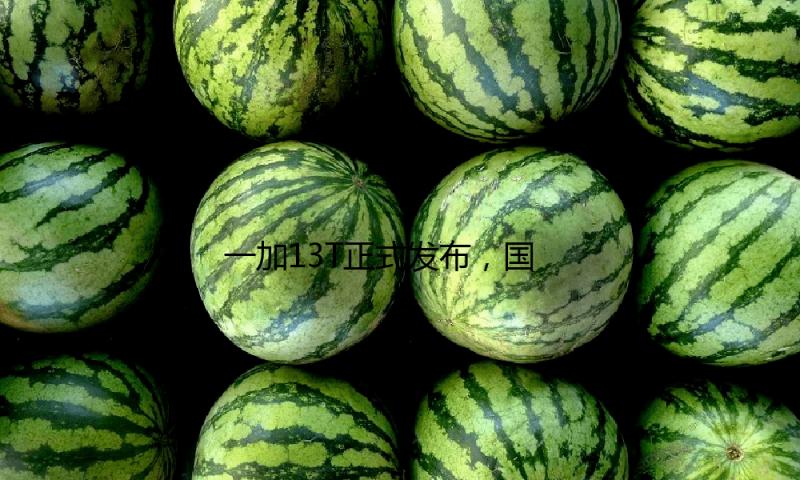 一加13T正式发布，国补后2899元起 — 新京报