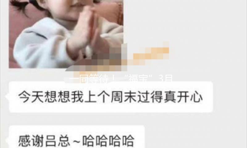 一同等待！“福宝”3月25日将和我们碰头