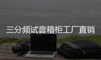 三分頻試音箱柜工廠直銷汽車音響改裝店音響箱柜組合低音炮箱包郵