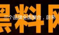 三個品牌全面整合，蔚來對盈余的焦慮現已寫在臉上