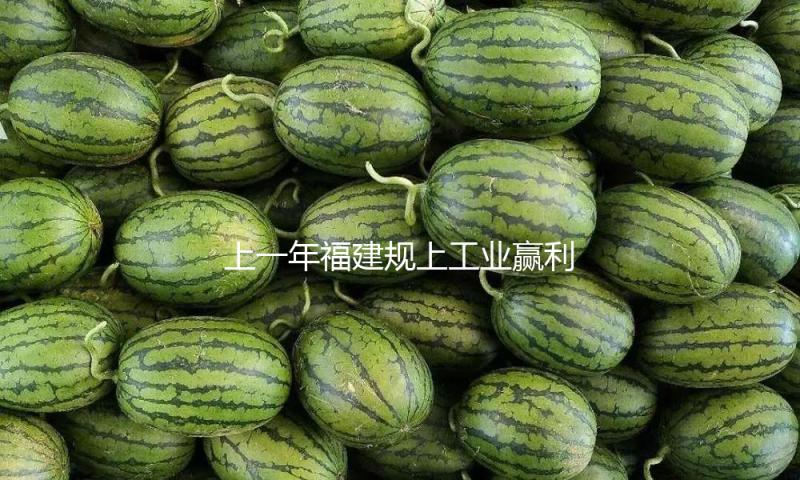 上一年福建规上工业赢利增速居全国第五