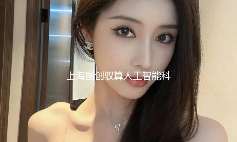 上海国创驭算人工智能科技公司注册建立