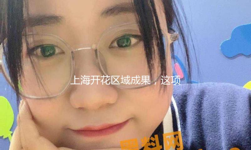 上海开花区域成果，这项田径大赛为文旅商体展联动供给新样本