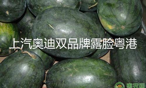 上汽奥迪双品牌露脸粤港澳大湾区车展，重磅双车加快布局全场景奢华矩阵